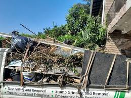 Best Yard Waste Removal  in Nappanee, IN